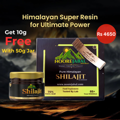 Noorejabal Pure Himalayan Shilajit Resin 50 gm Jar