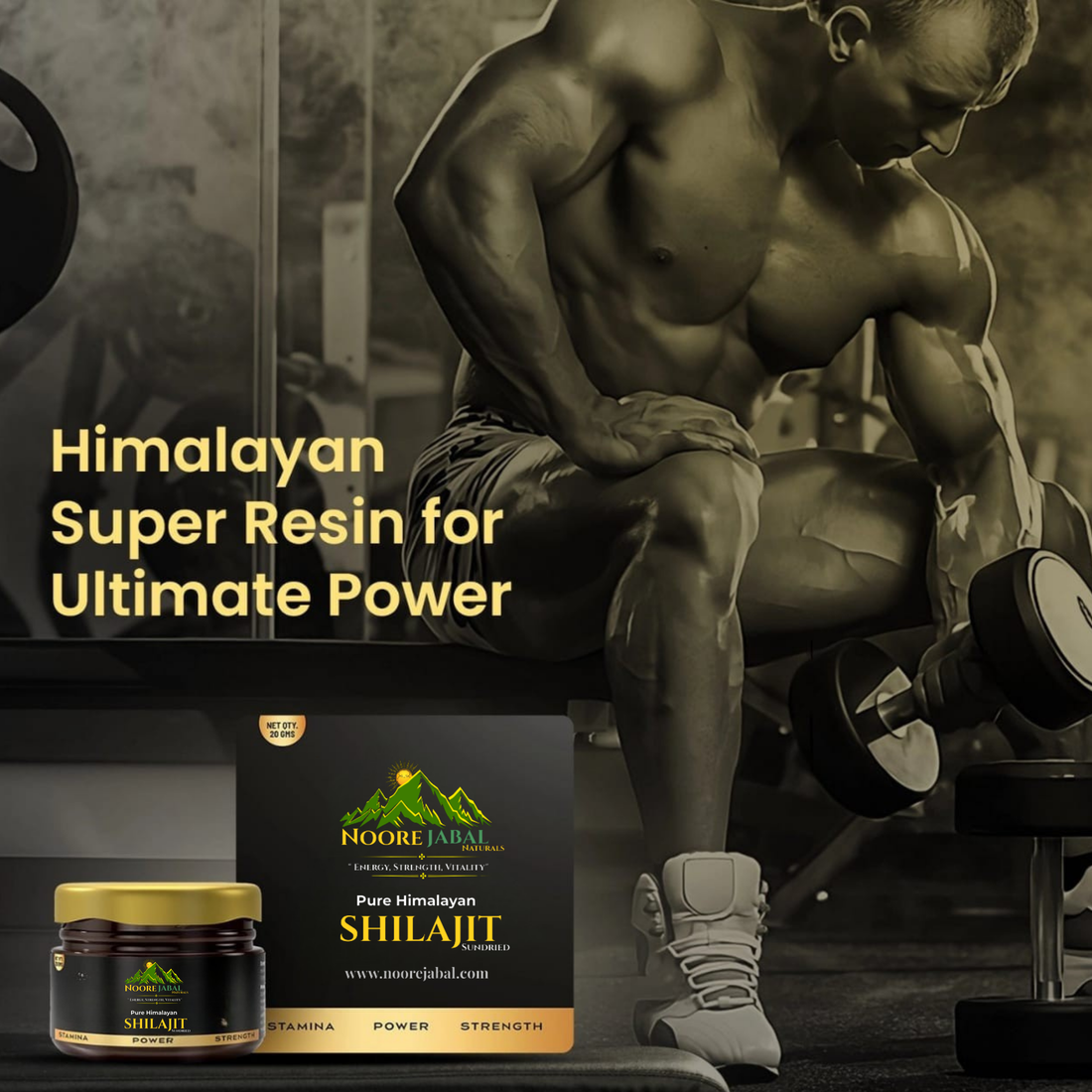 Pure Himalayan Shilajit (salajeet) in Pakistan-Pure & Lab Tested